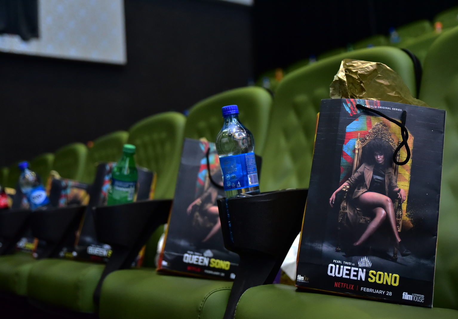 Queen Sono premiere