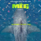 Movie Review of “THE MEG”