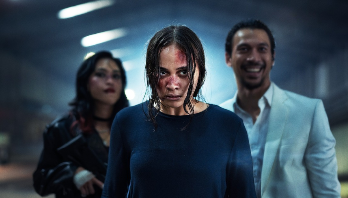 THE SHADOW STRAYS - NETFLIX MOVIE REVIEW