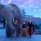 The Magician’s Elephant – Netflix Animation Review