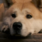 Hachi: A Dog's Tale - Hollywood Movie Review