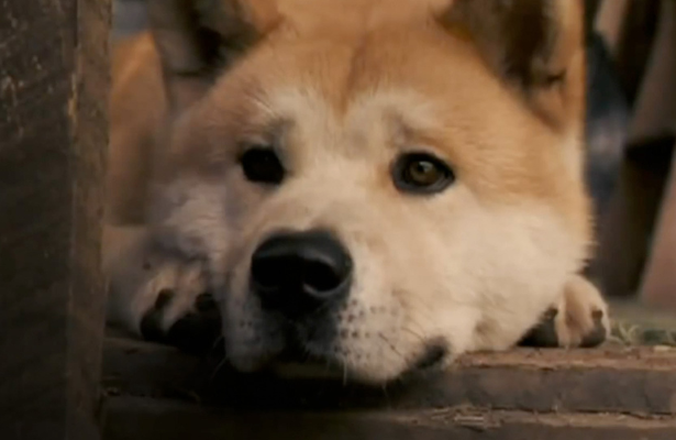 Hachi: A Dog's Tale - Hollywood Movie Review