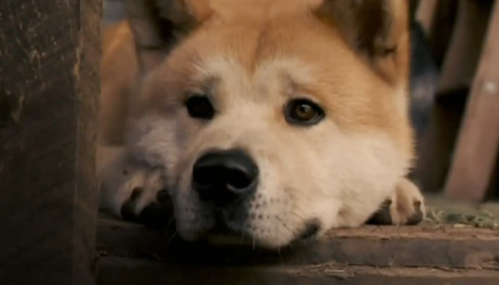 Hachi: A Dog's Tale - Hollywood Movie Review