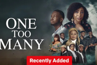 ONE TOO MANY - NOLLYWOOD MOVIE REVIEW