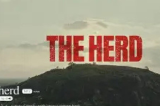 The Herd (Netflix Review) 2025