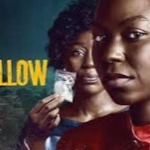 SWALLOW - NOLLYWOOD MOVIE REVIEW