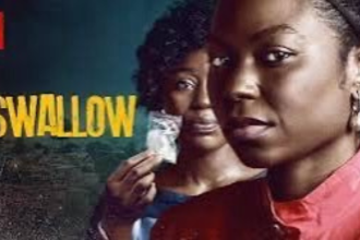 SWALLOW - NOLLYWOOD MOVIE REVIEW