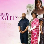 WHERE IS MR RIGHT-NOLLYWOOD MOVIE REVIEW