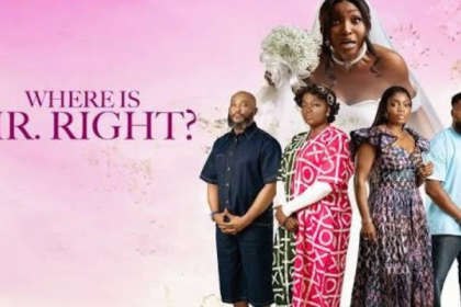 WHERE IS MR RIGHT-NOLLYWOOD MOVIE REVIEW