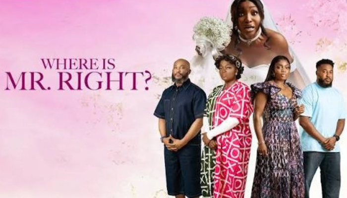 WHERE IS MR RIGHT-NOLLYWOOD MOVIE REVIEW