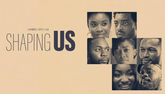 SHAPING US-NOLLYWOOD MOVIE REVIEW